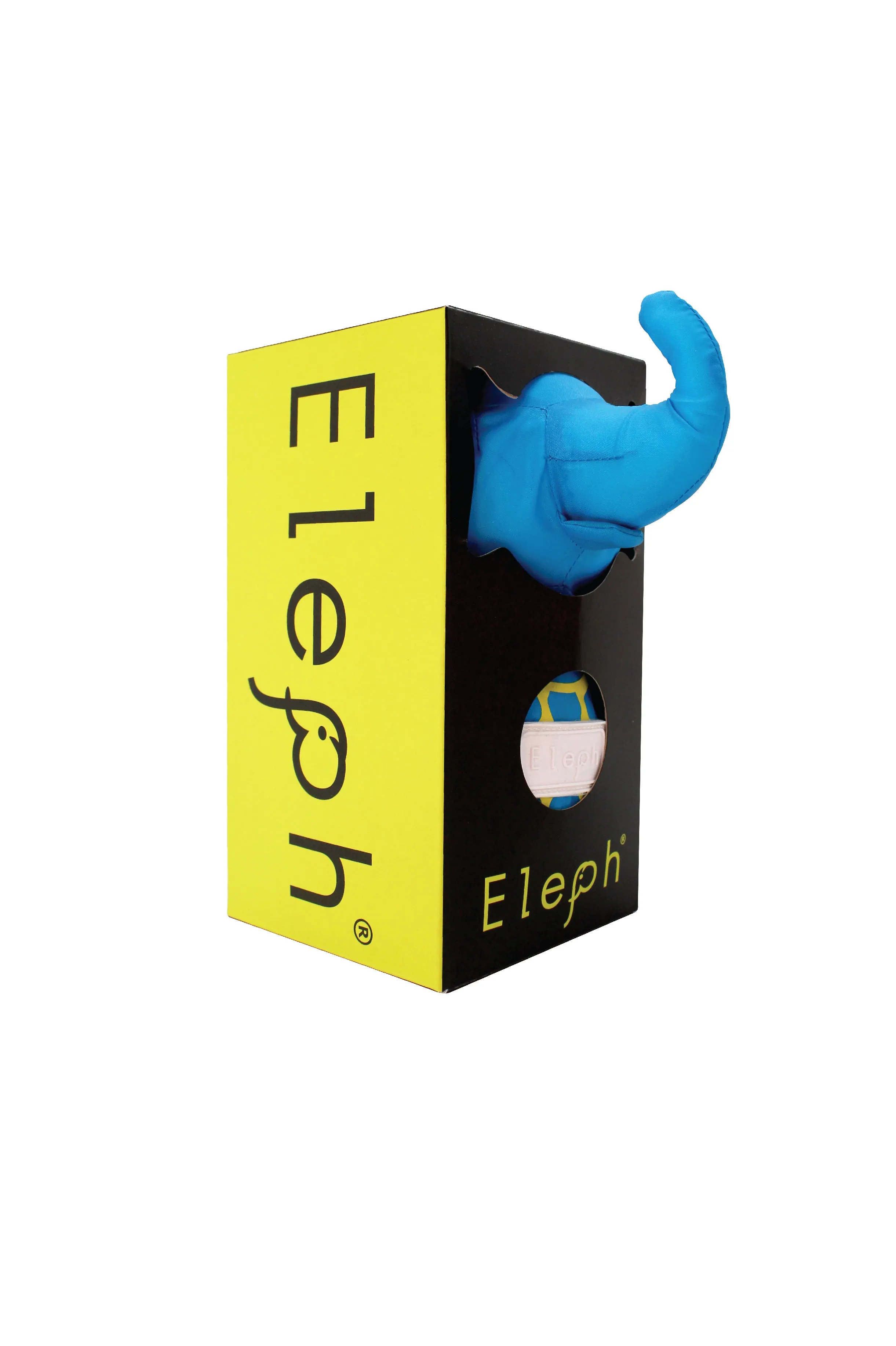 ELEPH CIRCLE - L : Blue / Yellow