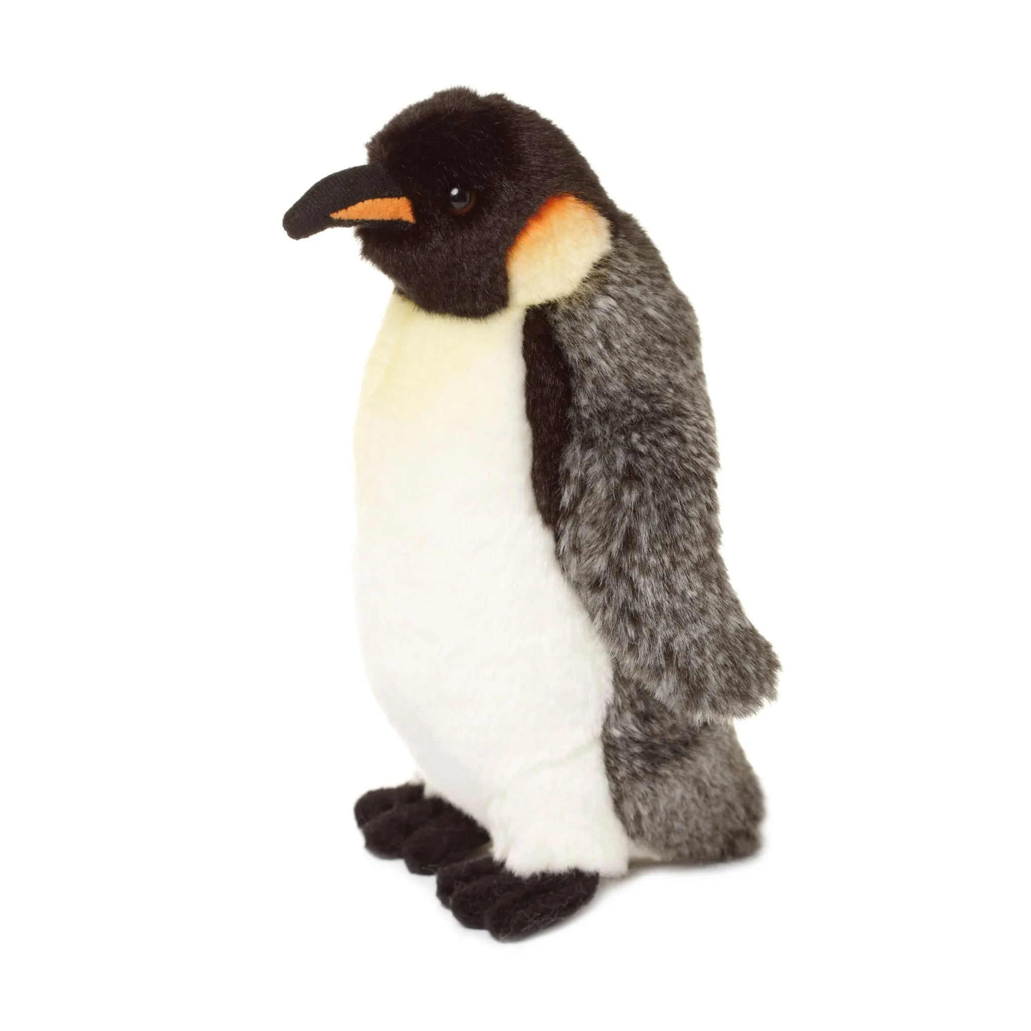 Emperor penguin